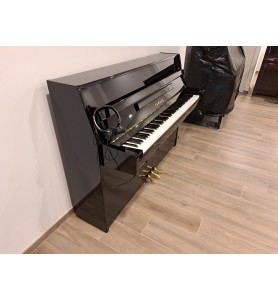 Photo Yamaha B1 Silent (2018)